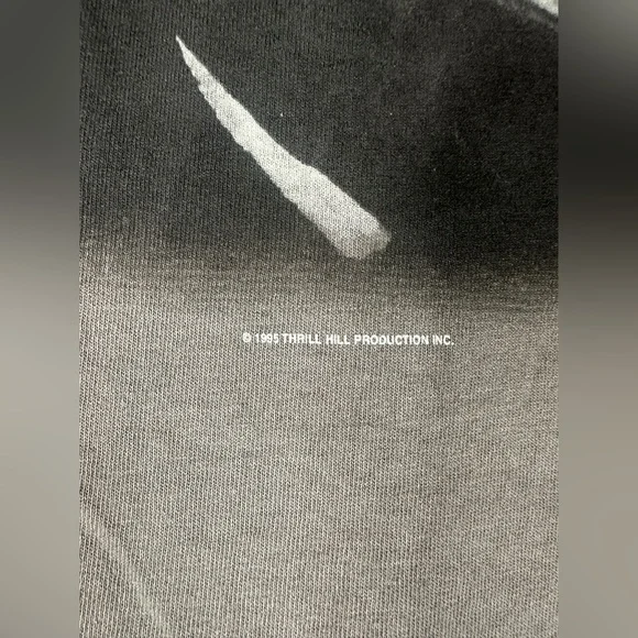 Bruce Springsteen 1995 Ghost Of Tom Joad Official Tour T-shirt Size XL - Picture 7 of 11